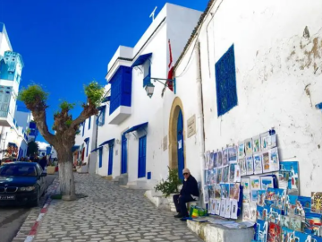C:/Users/EDY/Desktop/圖片/突尼斯摩洛哥(gē)/藍白小(xiǎo)鎮SIDI BOU SAID.png藍白小(xiǎo)鎮SIDI BOU SAID